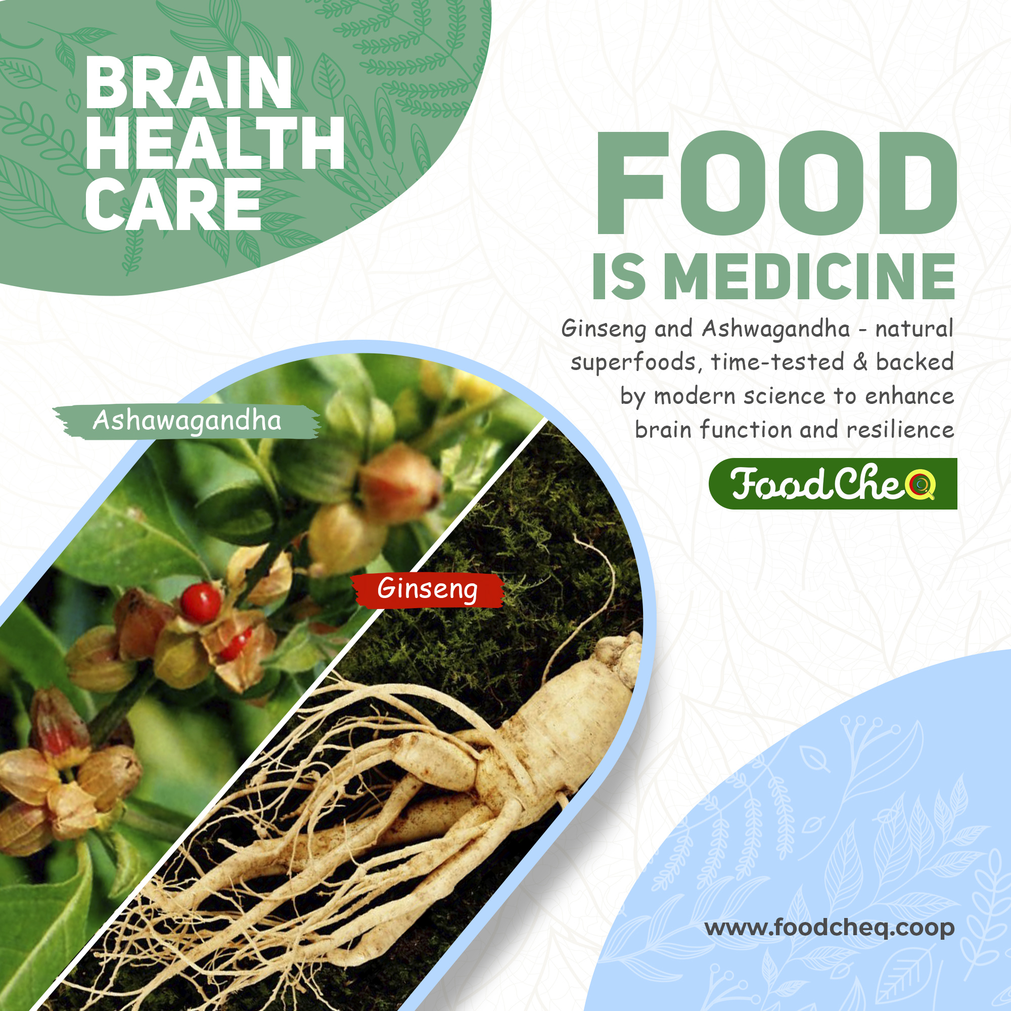 Foodcheq Image